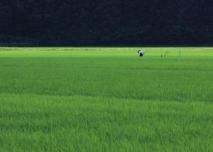 野沢・反田乙